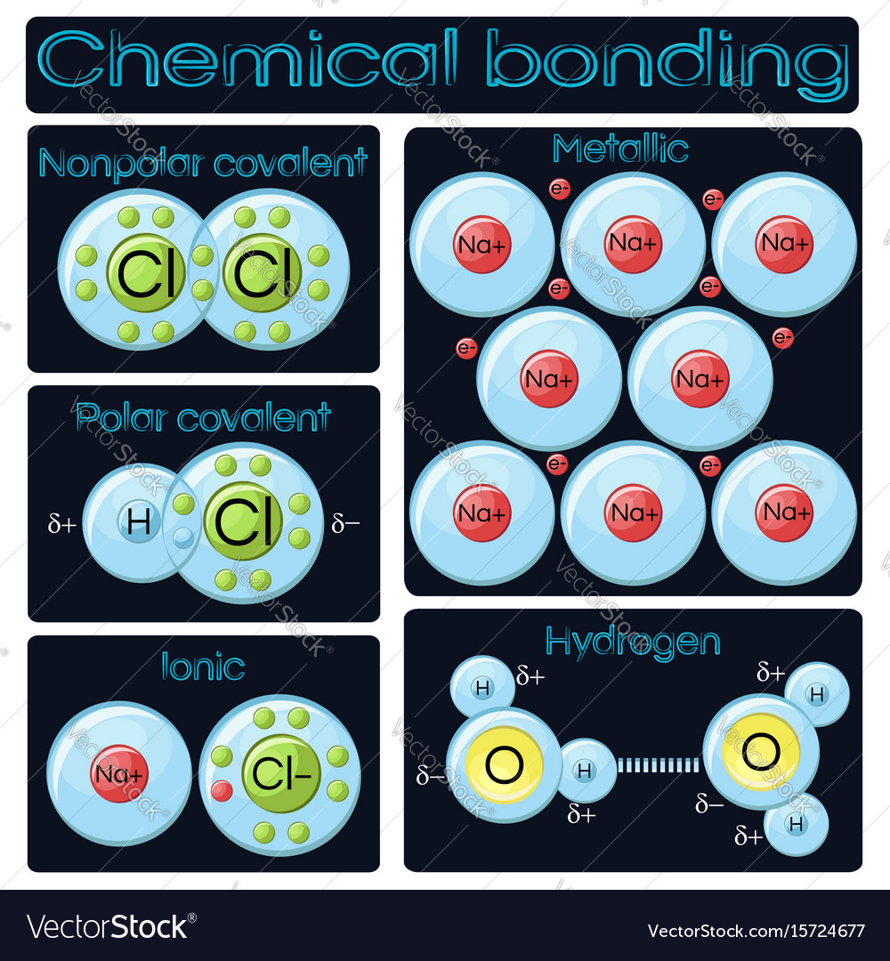 types-of-chemical-bonding-vector-15724677